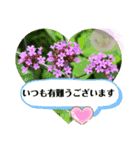 綺麗な画像で感謝や励まし（個別スタンプ：5）