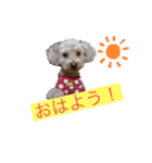 マロントイプースタンプ！（個別スタンプ：4）