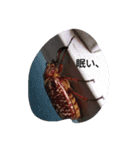 生き物たちのスタンプ0（個別スタンプ：3）
