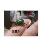 生き物たちのスタンプ0（個別スタンプ：7）