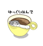 Amodoodle ねこスタンプ1（個別スタンプ：19）