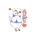 インコのたぴちゃん（個別スタンプ：3）