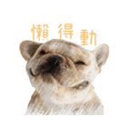 フレンチブルドッグ ブルトの日常（個別スタンプ：31）