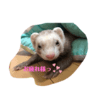 ぼくきなこだよー（個別スタンプ：6）