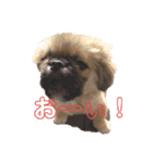 おchocoさん♪（個別スタンプ：1）