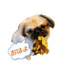 おchocoさん♪（個別スタンプ：2）