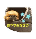 おchocoさん♪（個別スタンプ：4）
