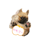 おchocoさん♪（個別スタンプ：8）