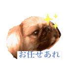 おchocoさん♪（個別スタンプ：10）