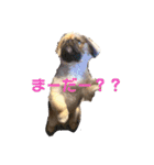 おchocoさん♪（個別スタンプ：12）