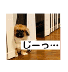 おchocoさん♪（個別スタンプ：20）