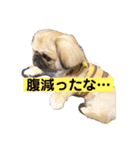 おchocoさん♪（個別スタンプ：21）