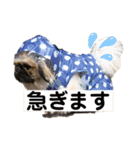 おchocoさん♪（個別スタンプ：23）