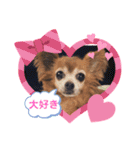 ラブリーはなちゃん❤️（個別スタンプ：1）