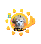 ラブリーはなちゃん❤️（個別スタンプ：2）