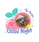 ラブリーはなちゃん❤️（個別スタンプ：3）