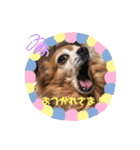 ラブリーはなちゃん❤️（個別スタンプ：4）
