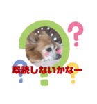 ラブリーはなちゃん❤️（個別スタンプ：8）