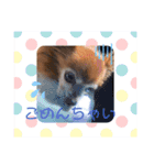 ラブリーはなちゃん❤️（個別スタンプ：10）