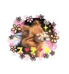 ラブリーはなちゃん❤️（個別スタンプ：16）