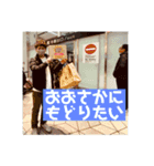 辻永陽一と愉快な仲間達（個別スタンプ：15）