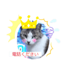 ママの大事な子達（個別スタンプ：3）