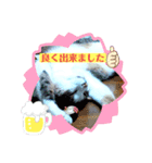ママの大事な子達（個別スタンプ：8）