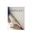 ハチ1（個別スタンプ：8）