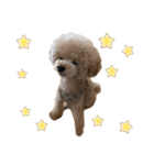 PIASU★（個別スタンプ：2）