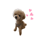 PIASU★（個別スタンプ：3）