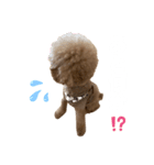 PIASU★（個別スタンプ：5）