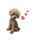 PIASU★（個別スタンプ：6）
