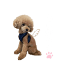 PIASU★（個別スタンプ：7）