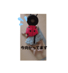 私のスタンプですっ（個別スタンプ：4）
