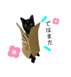 病院猫のクロ（個別スタンプ：8）