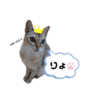 自由気ままなシンガプーラのかりんちゃん（個別スタンプ：1）