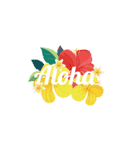 BIG ALOHA HAWAII（個別スタンプ：14）