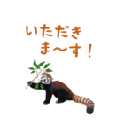 ほほえみフレンズ！BIGなレッサーパンダ（個別スタンプ：19）