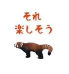 ほほえみフレンズ！BIGなレッサーパンダ（個別スタンプ：20）