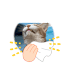 なかよしソラマメ（個別スタンプ：3）