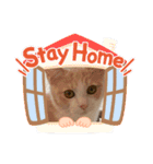 なかよしソラマメ（個別スタンプ：16）