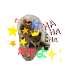 きな子はんの日常第6弾（個別スタンプ：2）