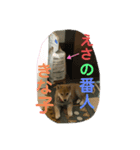 きな子はんの日常第6弾（個別スタンプ：4）