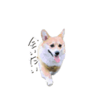 レオくん♂（個別スタンプ：14）