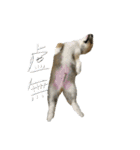 レオくん♂（個別スタンプ：16）