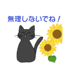 黒猫あずきの夏用スタンプ（個別スタンプ：19）