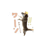 マヨすたんぷ！（個別スタンプ：15）