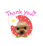 ルンルンヨーキー（個別スタンプ：3）