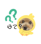 ぼく、ミルキー！②（個別スタンプ：7）