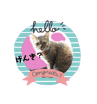 けだまたち（個別スタンプ：7）